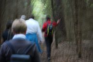 Wanderer Auf Der Traumrunde Geiselwind