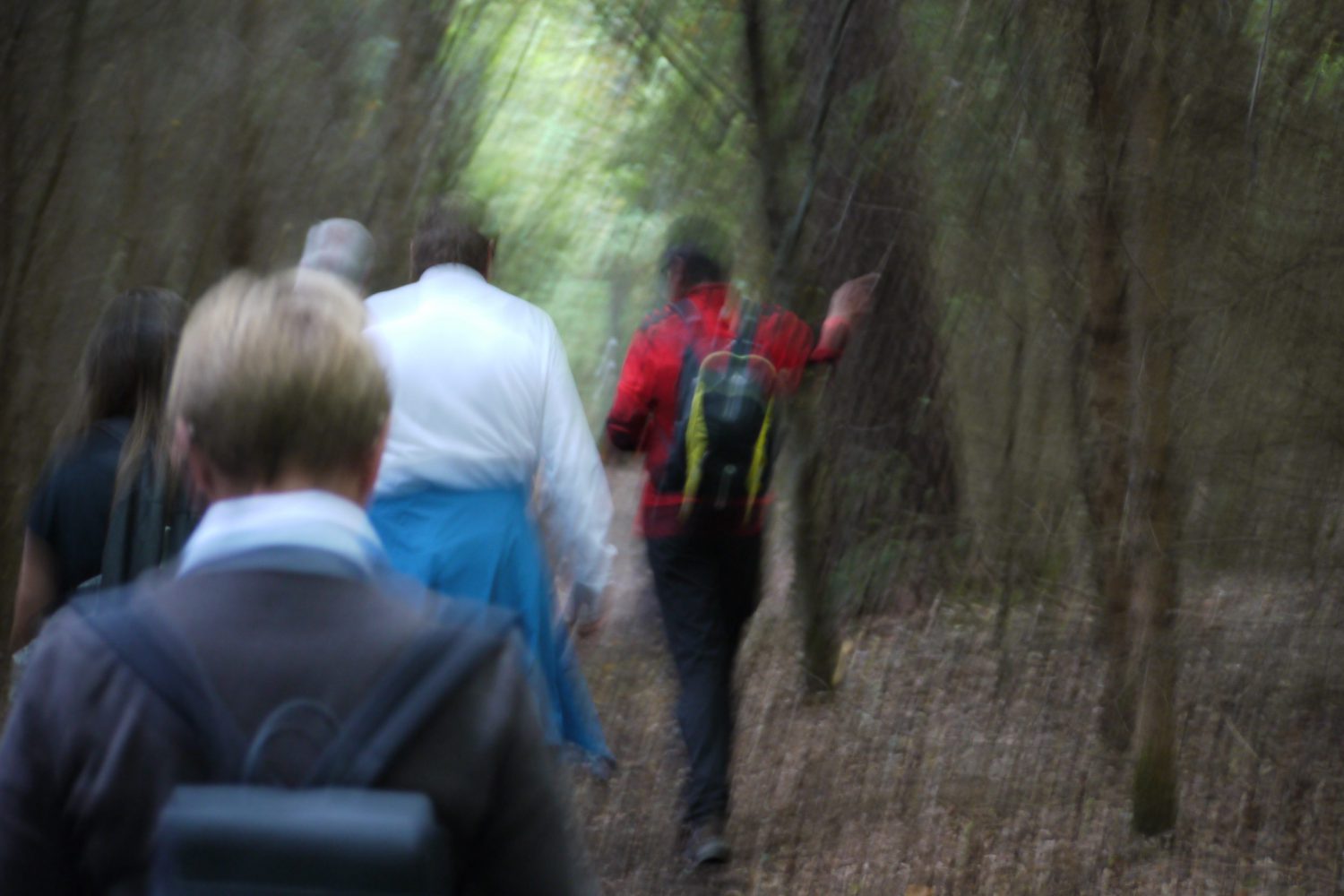 Wanderer auf der Traumrunde Geiselwind