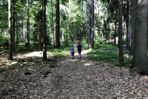 Wanderer auf der Traumrunde Geiselwind