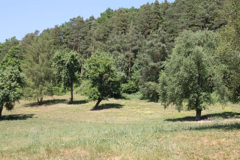 Hutung bei Füttersee