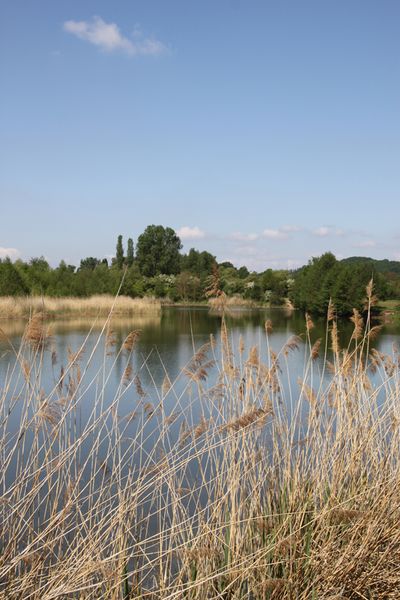 Biotopentwicklungsfläche an der Hutzelmühle