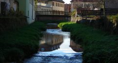 Die Haslach Plätschert Durch Burghaslach