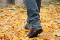 Wanderer Auf Herbstlaub