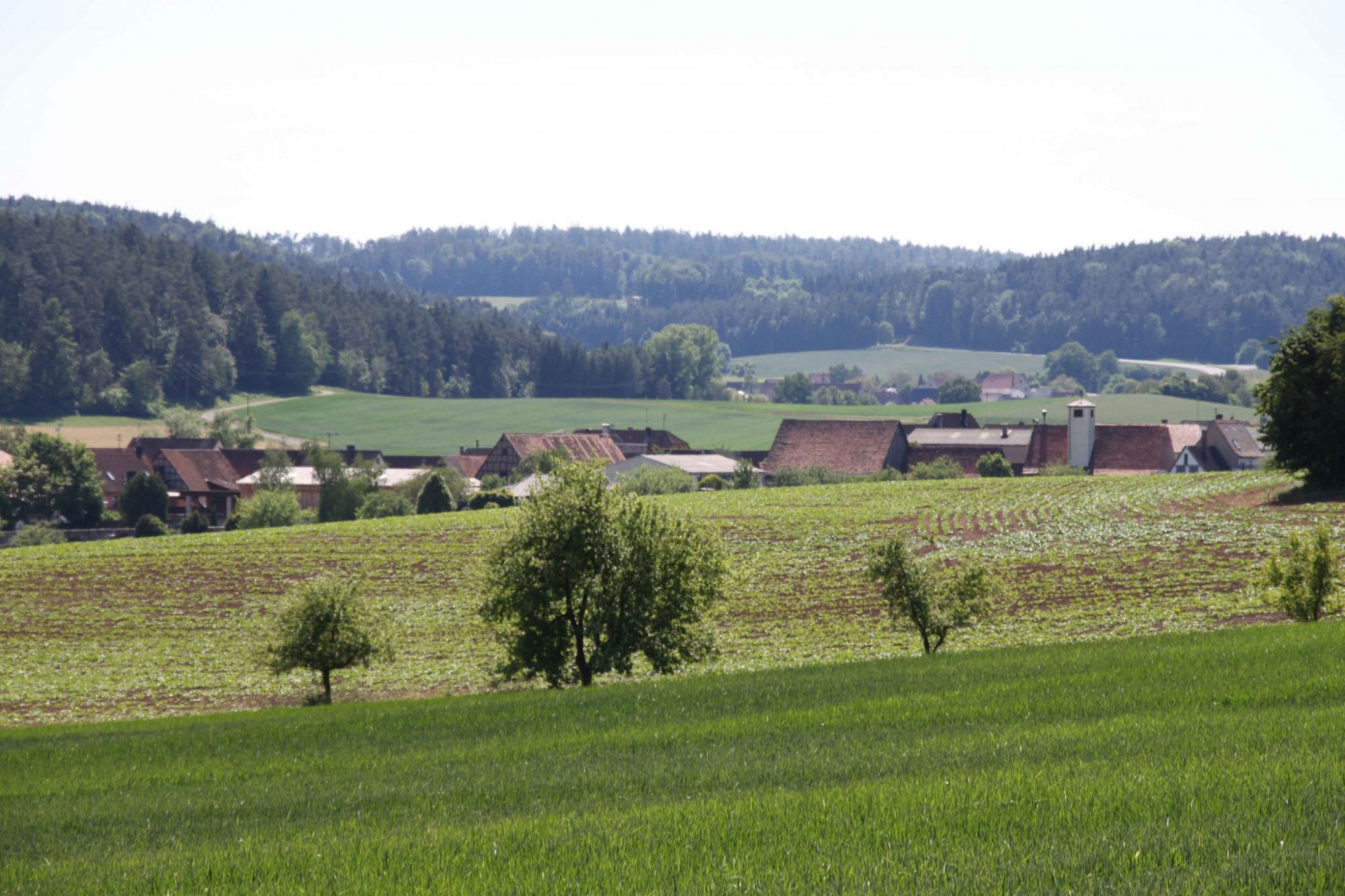 Blick auf Oberrimbach