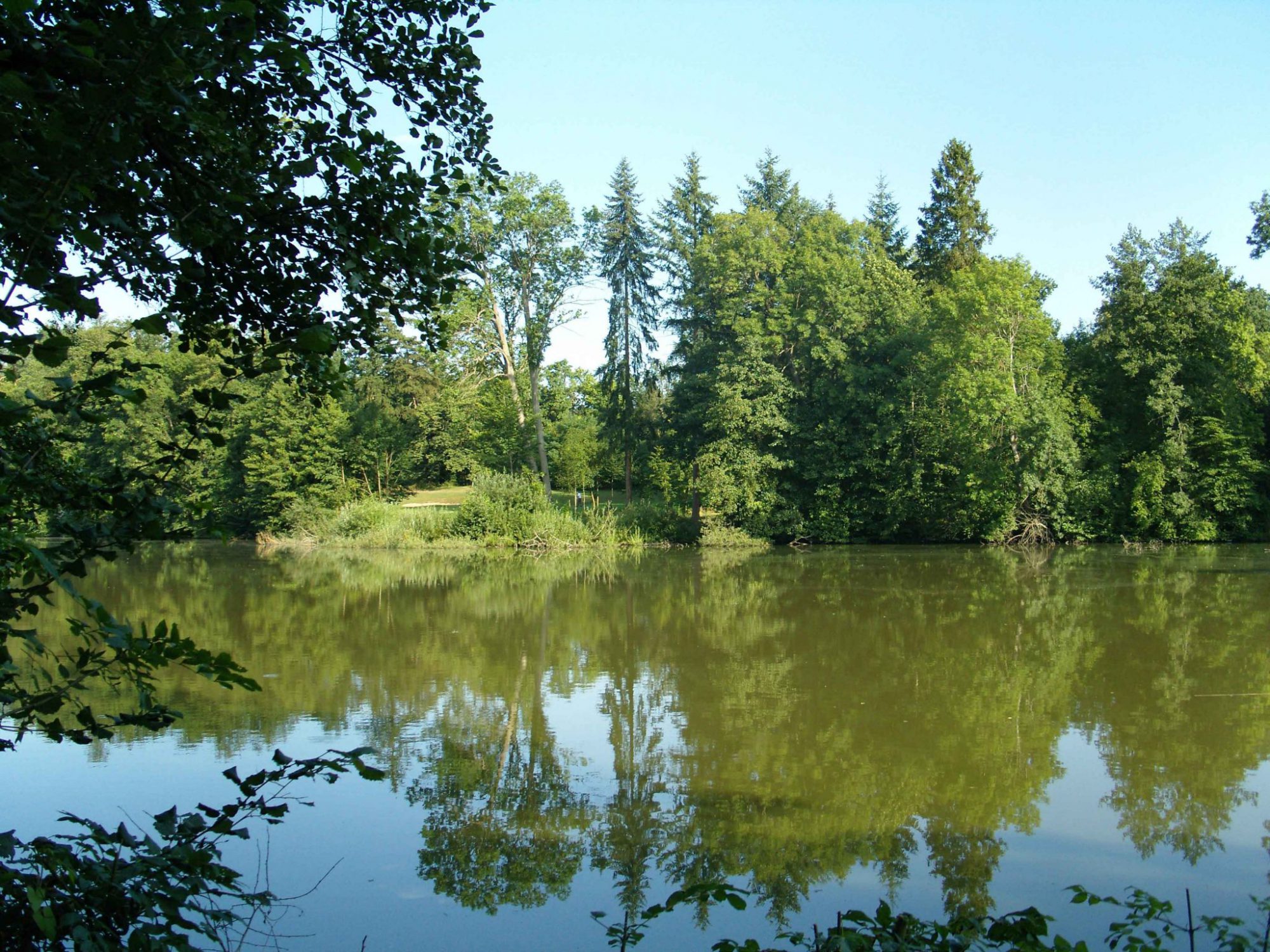 Reichmannsdorf Weiher