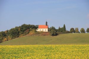 Blick auf St. Galluskirche Hohn am Berg