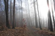 Herbststimmung Im Drei-Franken-Eck