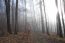 Herbststimmung im Drei-Franken-Eck