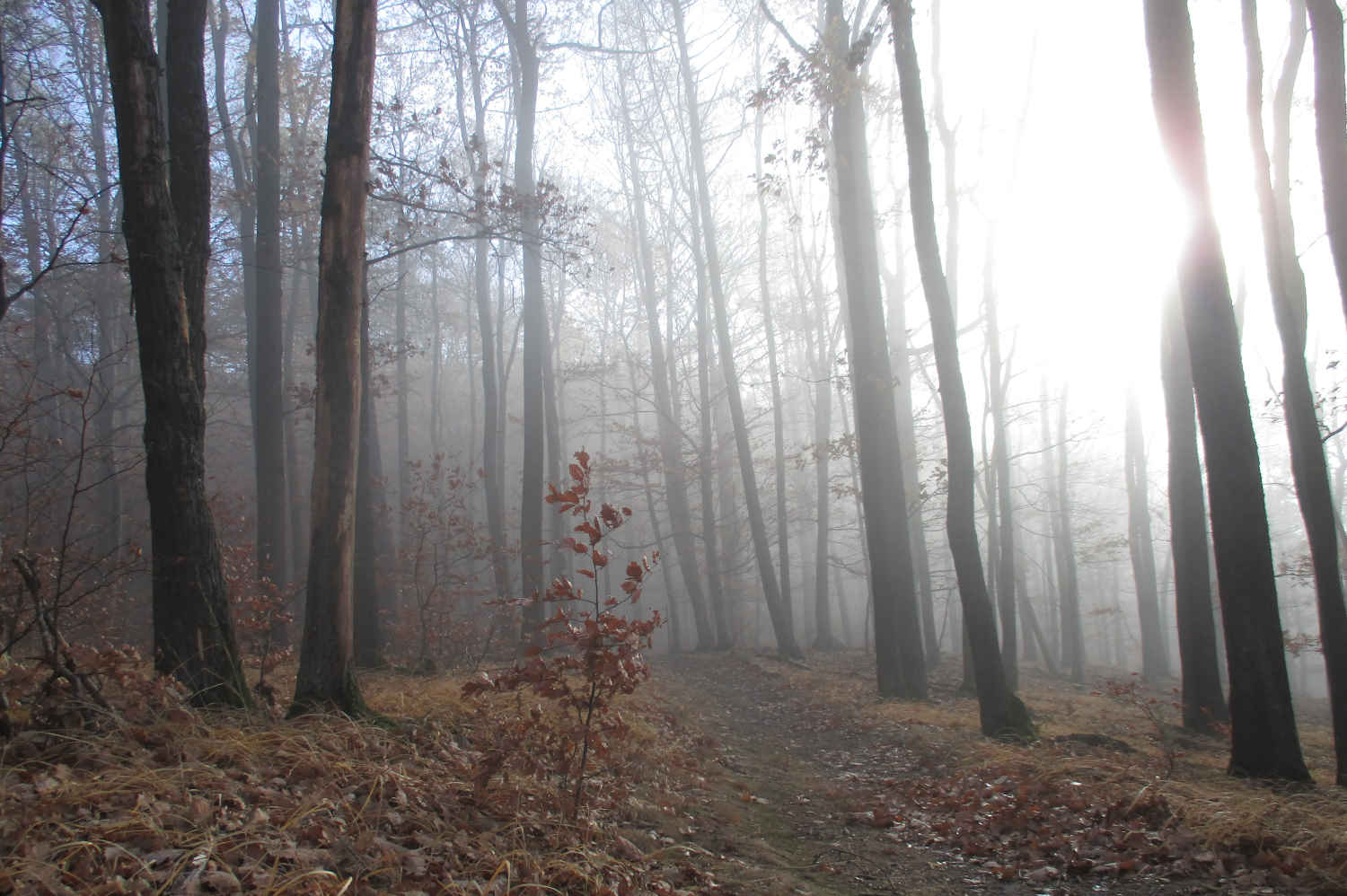 Herbststimmung im Drei-Franken-Eck