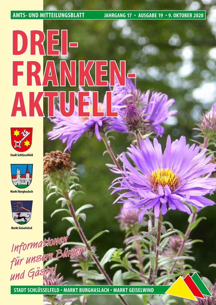 Drei Franken Aktuell 19 2020