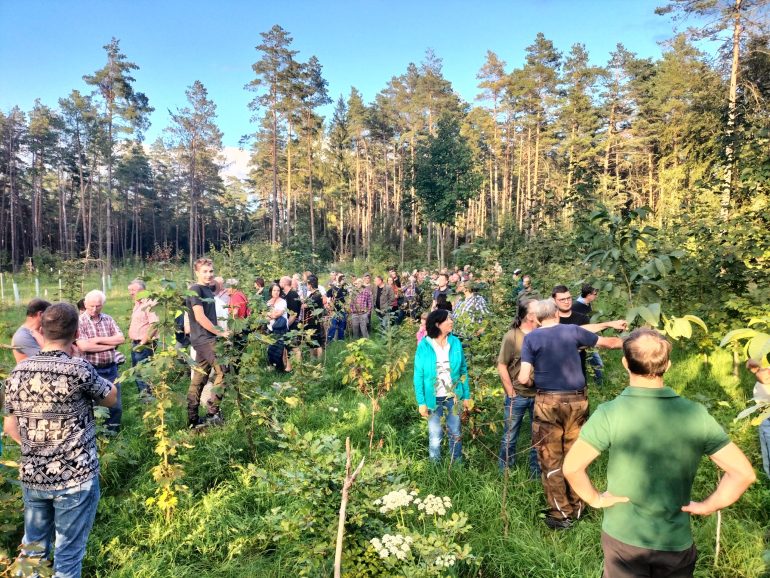 Zahlreiche Interessierte Waldbesitzer Nahmen An Der Führung Durch Das Prämierte Waldstück Auf Der Langen Meile Teil