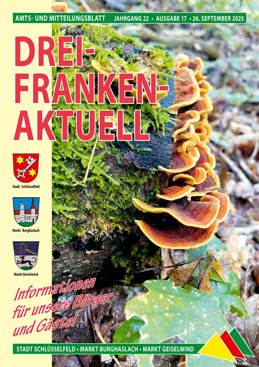 Drei-Franken-Aktuell 17 / 2025